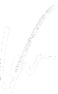 Viesto World